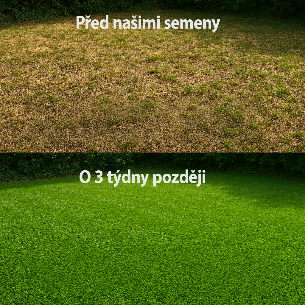 2 X Express Grass Professionnel