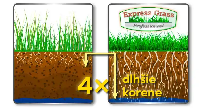 Express Grass